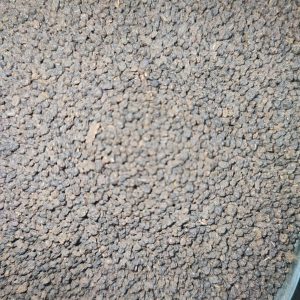 چای کله مورچه کلکته سیاره