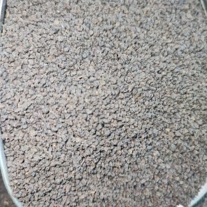 چای کله مورچه کنیا سیاره