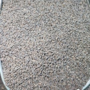 چای کله مورچه کنیا